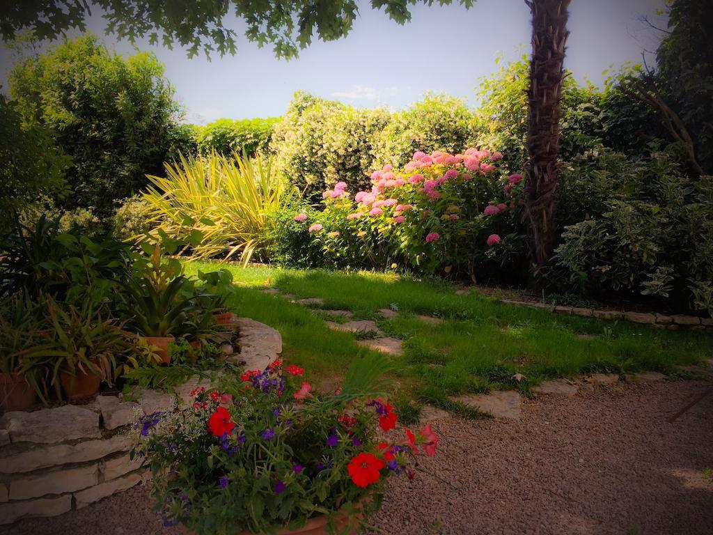 Bed & Breakfast Don Carlos San Martino di Lupari Extérieur photo