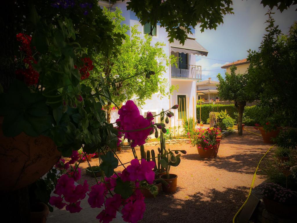 Bed & Breakfast Don Carlos San Martino di Lupari Extérieur photo