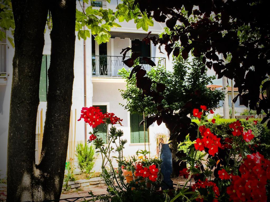 Bed & Breakfast Don Carlos San Martino di Lupari Extérieur photo